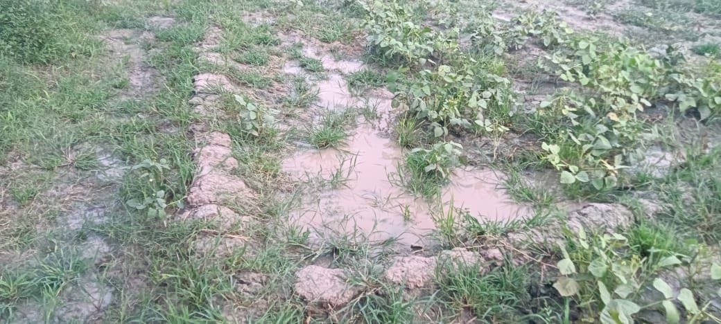 Hathras: An island made of rain water, farmers' faces blossomed