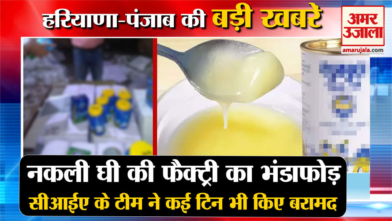 हरियाणा न्यूज