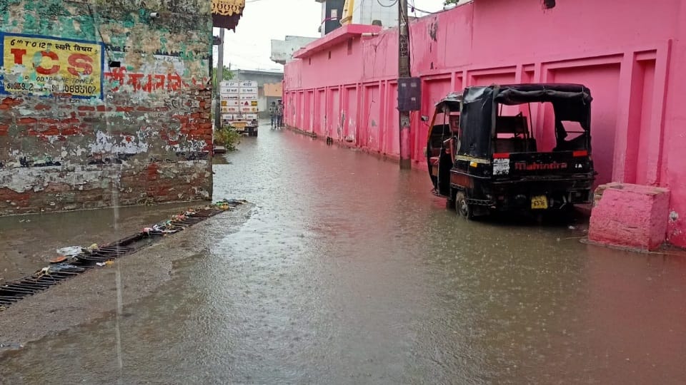 Rain in Many parts of Haryana, haryana monsoon update, weather update of haryana