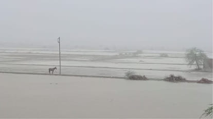 135 mm rain in Jhajjar of Haryana