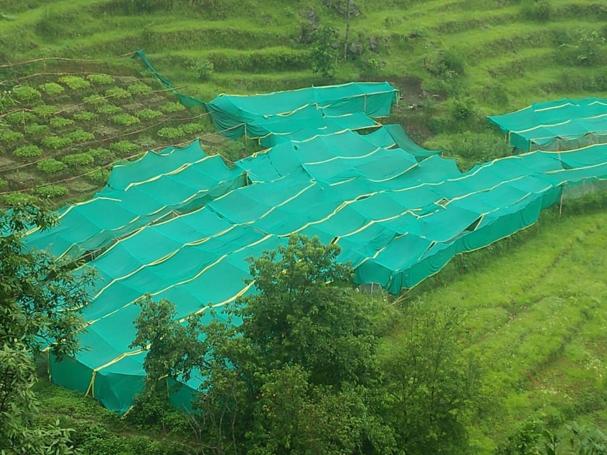 Fragrance of tea can be feel in three places.