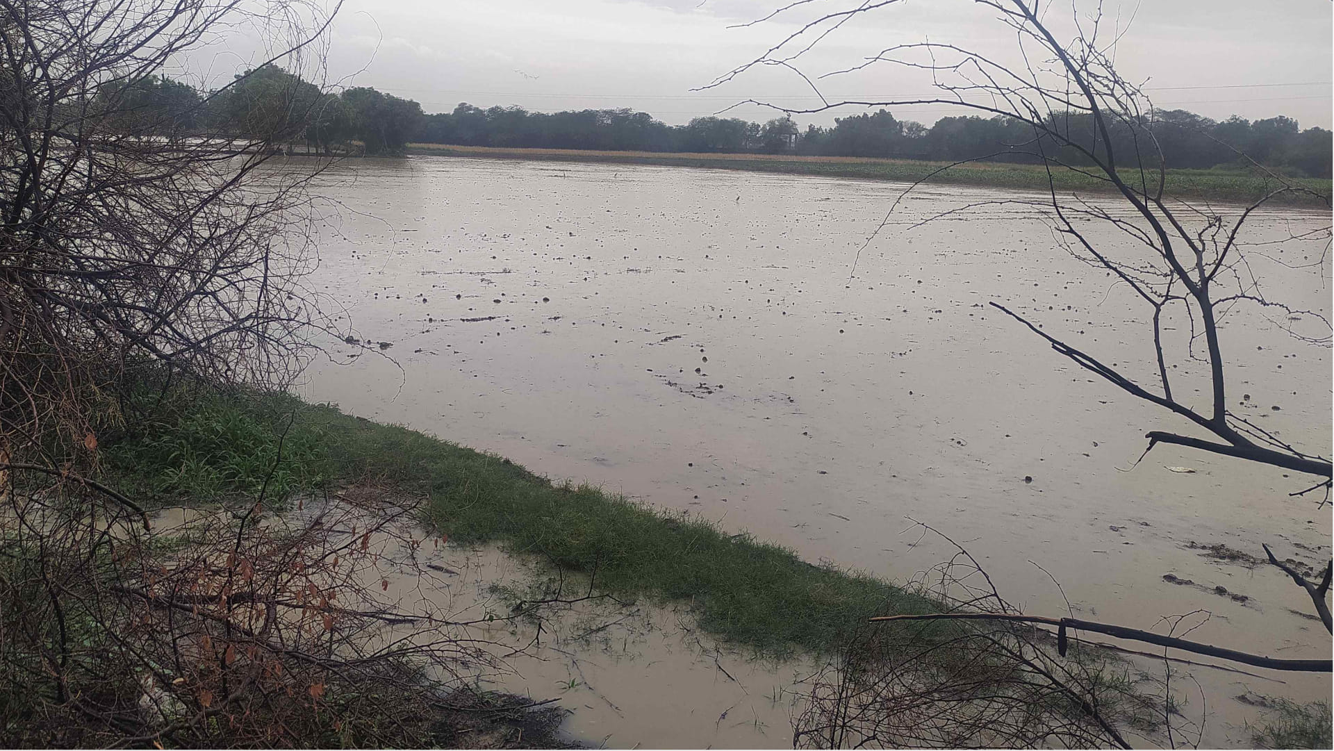 201 mm of rain created flood like situation in Rohtak