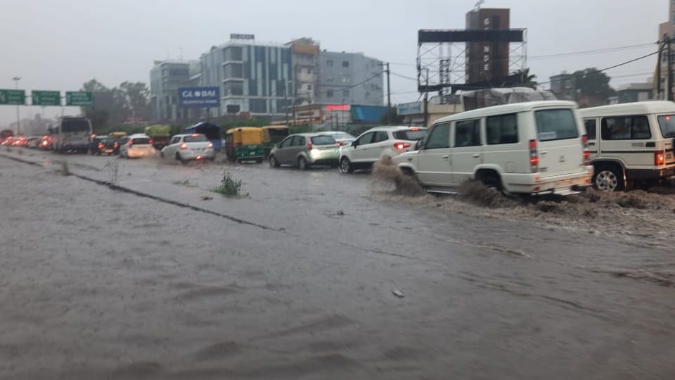 rain in mohali, mohali weather update news in hindi