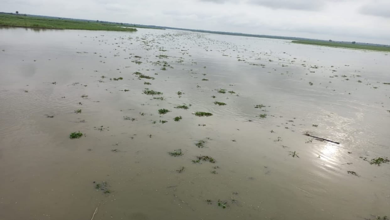 Hastinapur Rain Update: The water level of the Ganges increased due to rain, and crops are in danger