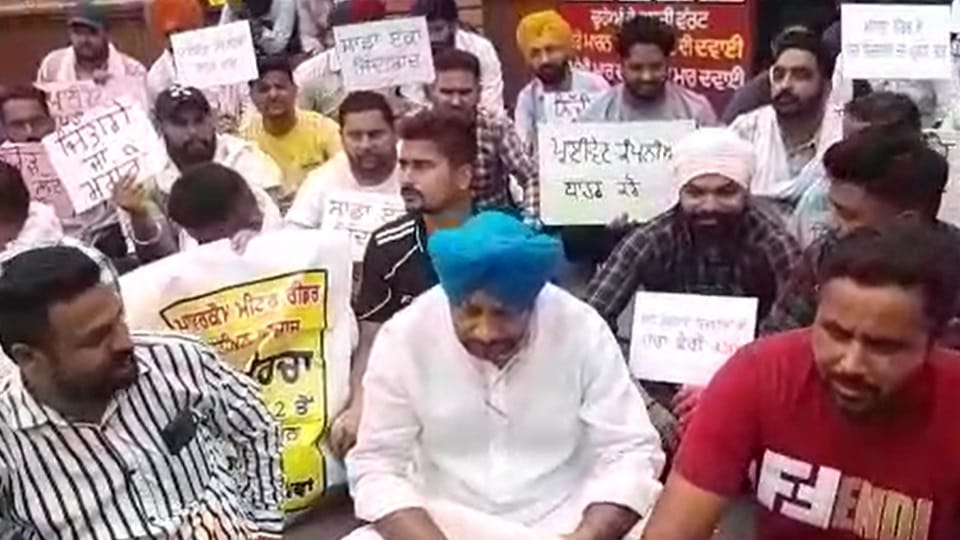 Contract Meter Readers working in Amritsar Powercom protest against their demands 