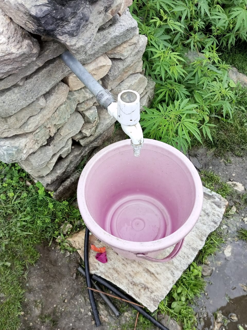 Neither every house should have water taps, water is not coming even in the old ones.