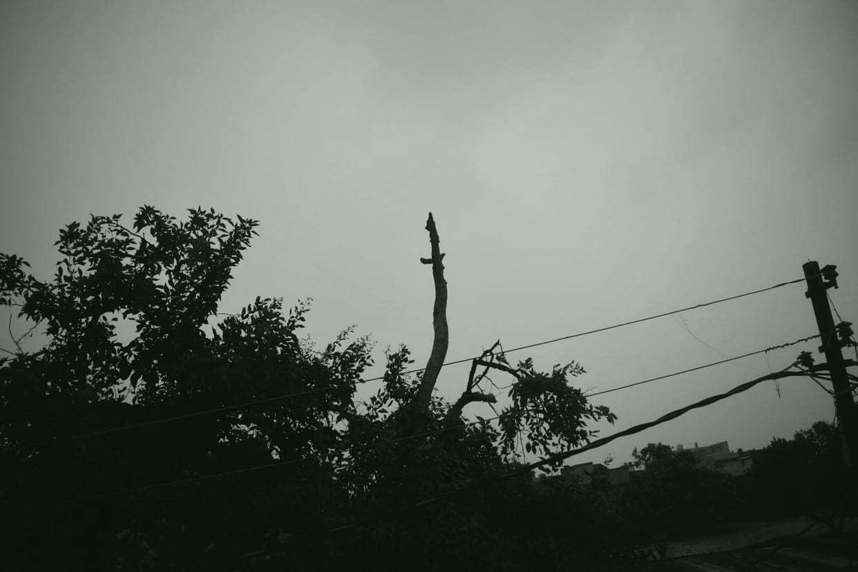 Slight drizzle in the morning, clouds kept craving for rain throughout the day