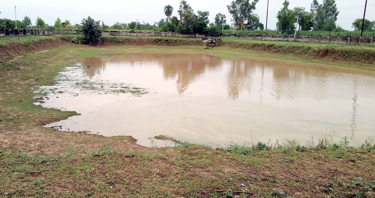 Amrit Sarovar filled with water due to rain