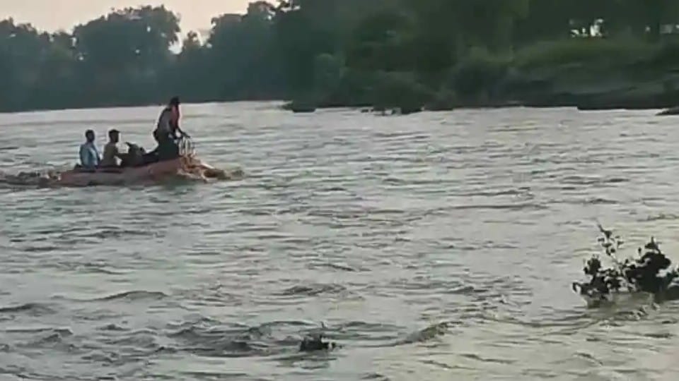 Sagar: Dhasan river overflow, three people who went to graze goats are stranded on the island, saved by SDRF after hours of effort