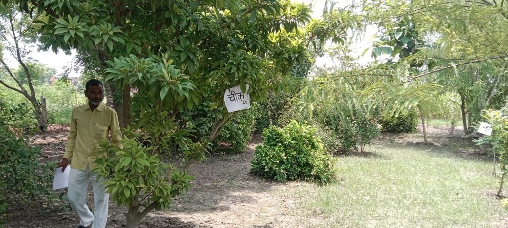 Almond, asafoetida and apple will be produced in Etah soil