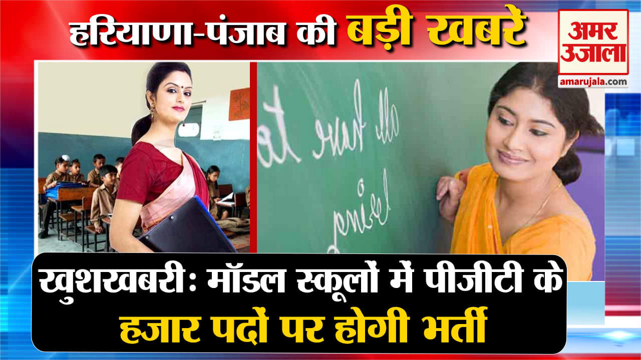 हरियाणा न्यूज