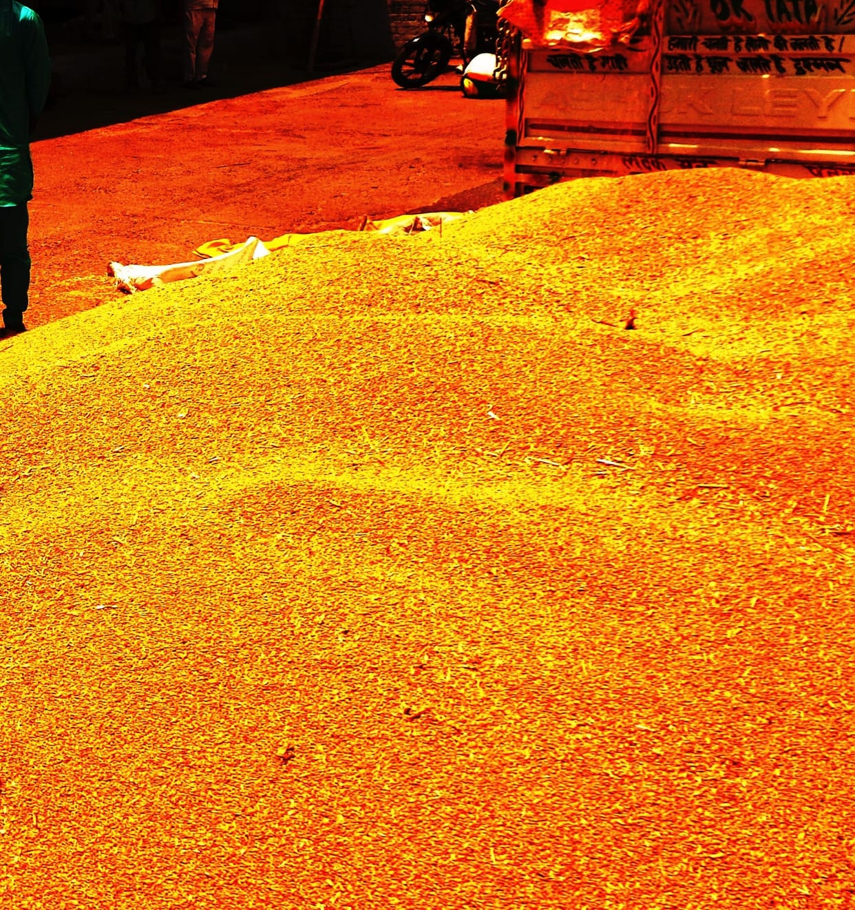 Wheat procurement weekly plan: Only 23.7 metric tonnes of wheat purchased in 15 days