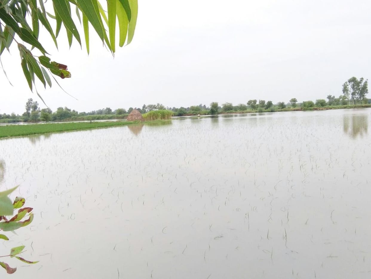 clouds rained, claims of drainage flowing in water