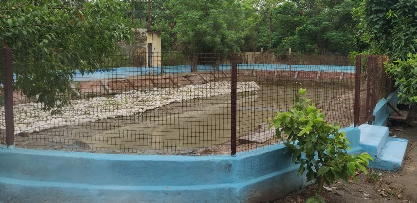 clean the pond