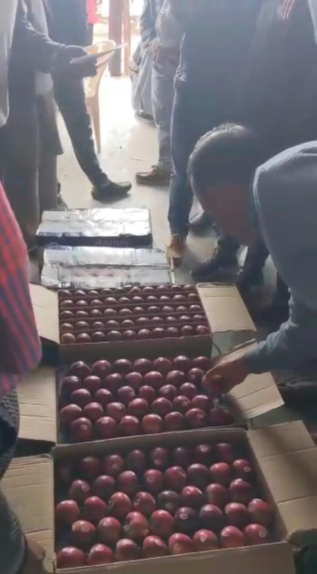 Spur variety of apple reached the market, sold a box of 2500 rupees