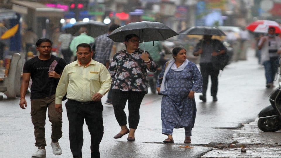 delhi weather forecast for saturday falling likely to rain till july 6