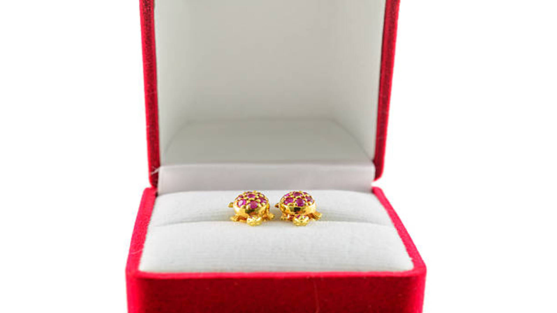 Turtle Ring Attract Money Know These Things Before Wearing All Details in Hindi