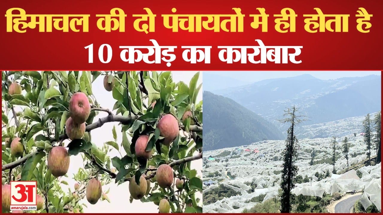 बागी व रतनाड़ी पंचायत में एंटी हेल नेट