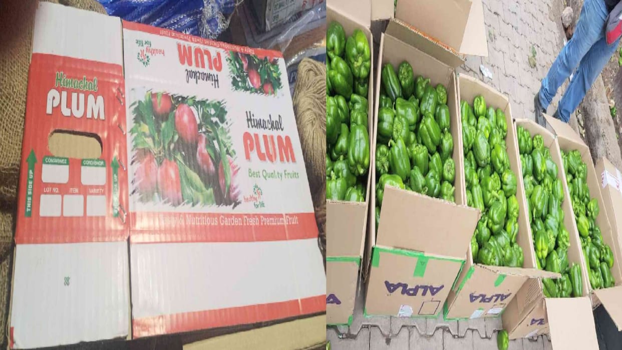 Not only apples, cardboard boxes are also ready for packing vegetables