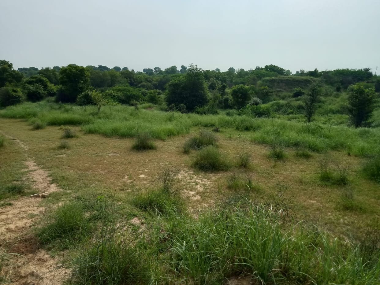 Go Safari will be made in Norga Khodan village