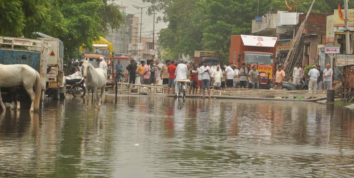 Public health department shrugged off the record rain, the report of the corporation opened the poll