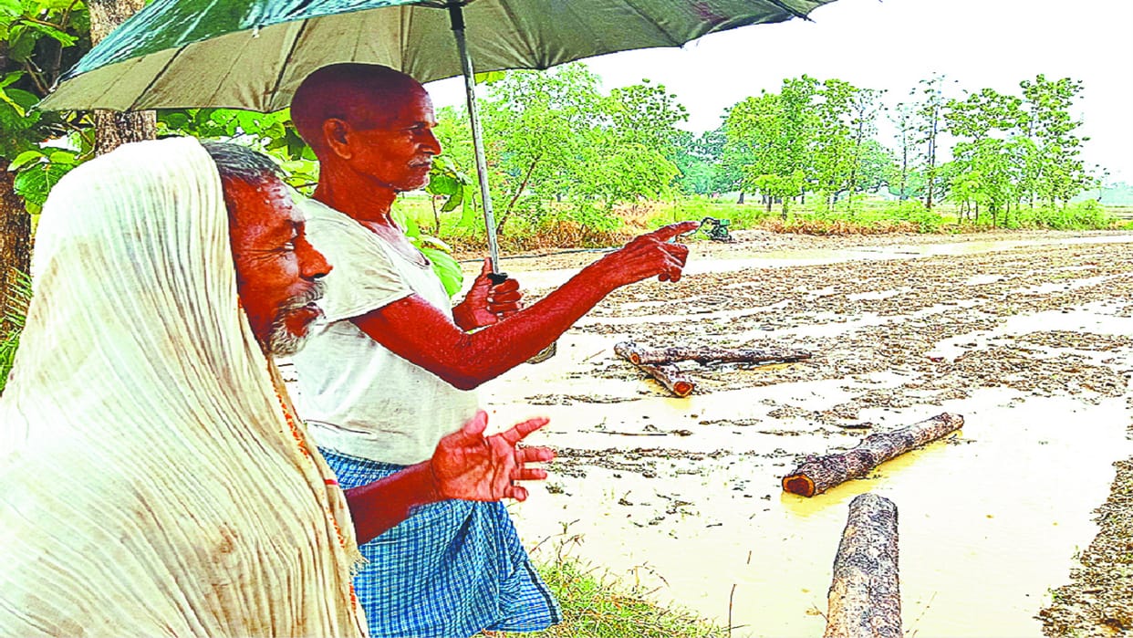 Gorakhpur Monsoon Paddy nursery affected due to below average rainfall in June