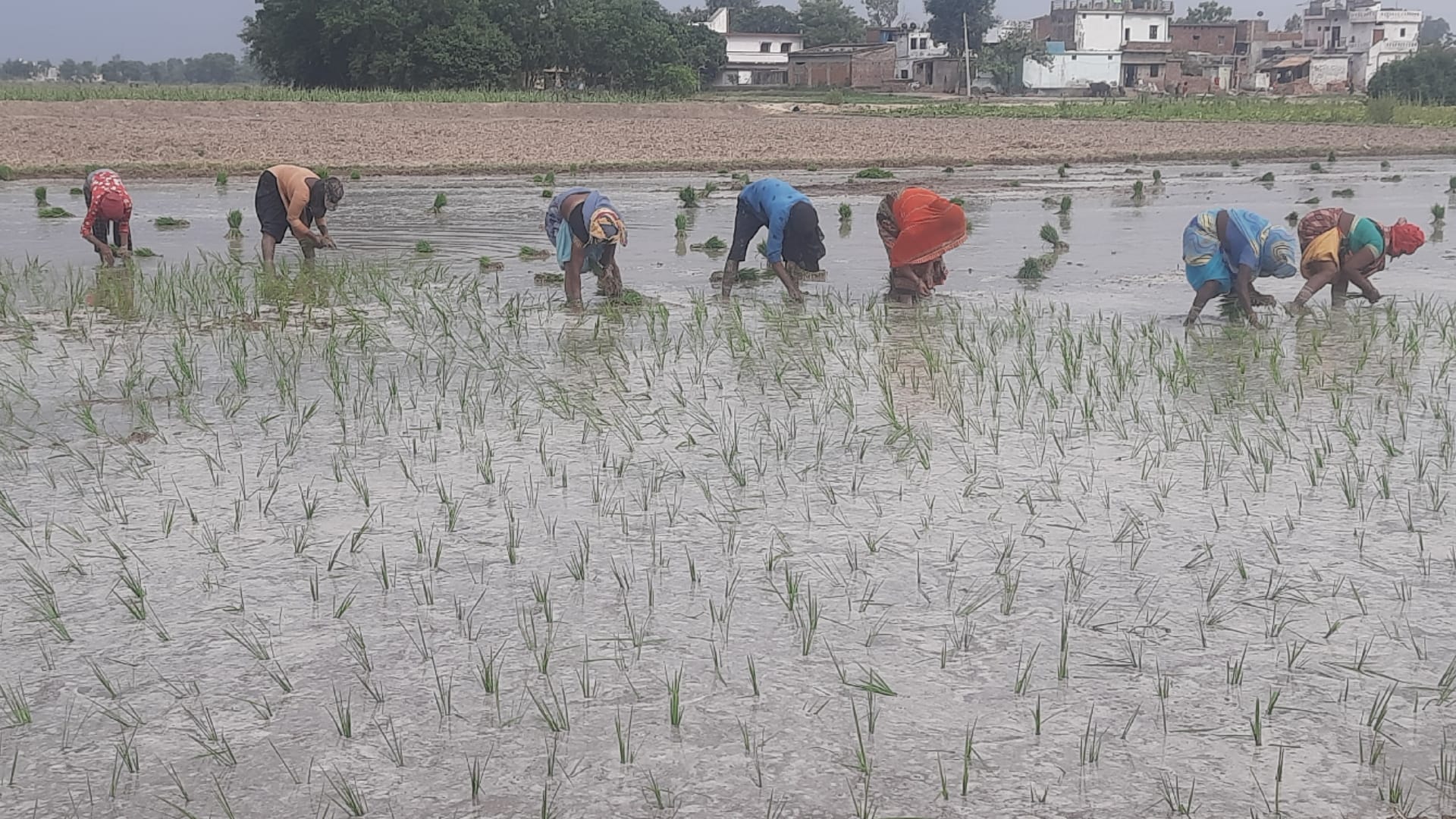 Heavy rain start in Gorakhpur monsoon