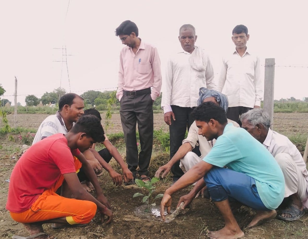 Green Baghpat campaign launched by planting saplings