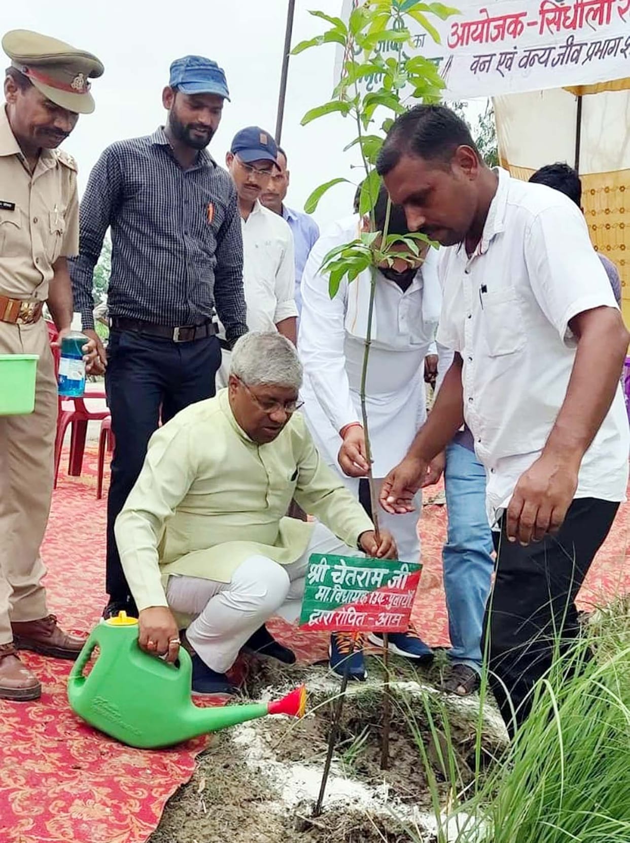 Amrit forest will be established in the village panchayats of Sindhauli