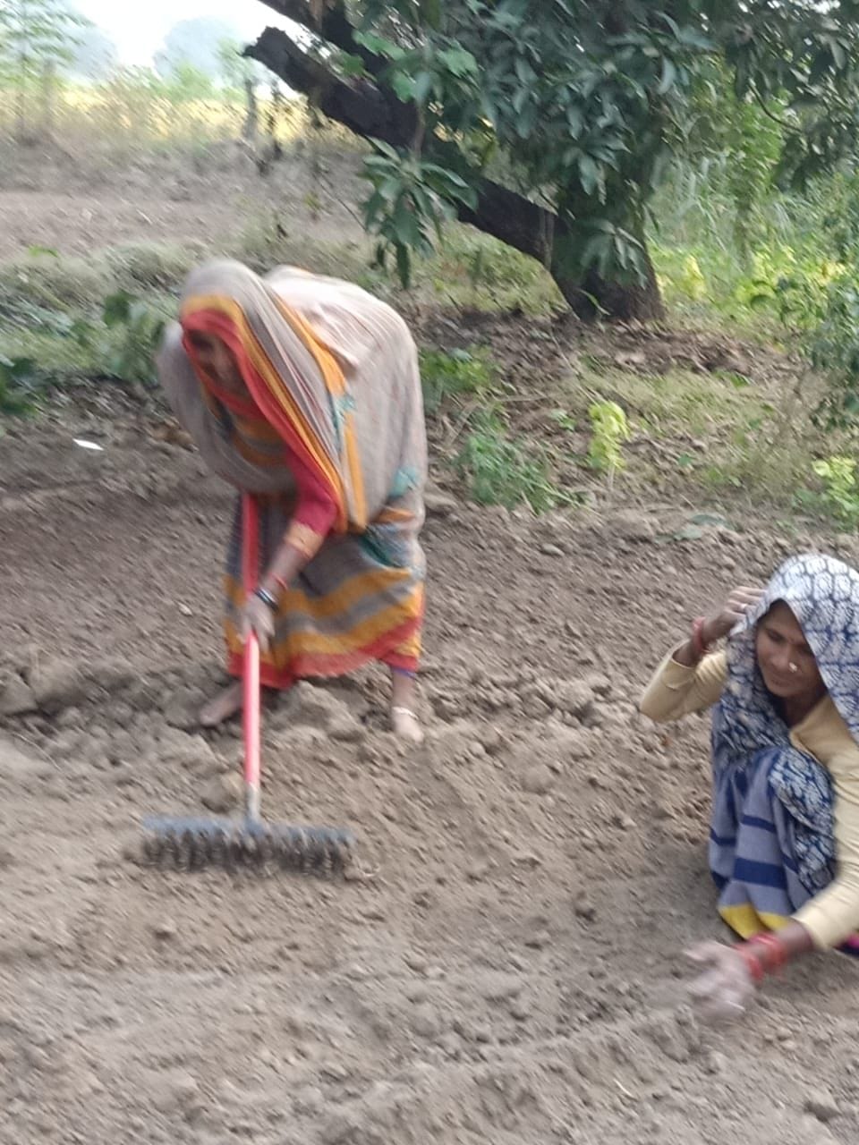 Making Bundelkhand healthy by doing organic farming