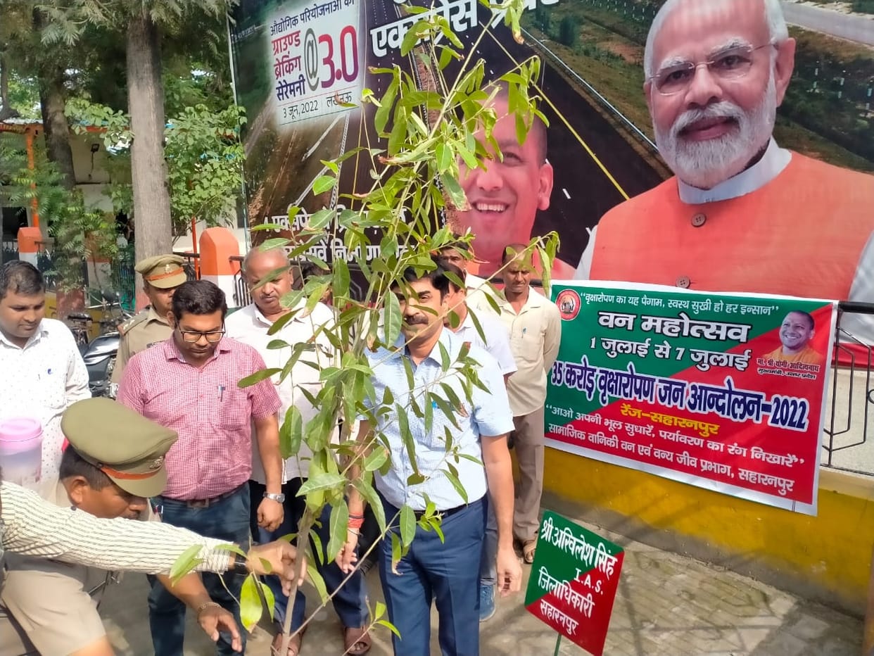 DM inaugurated the festival by planting saplings
