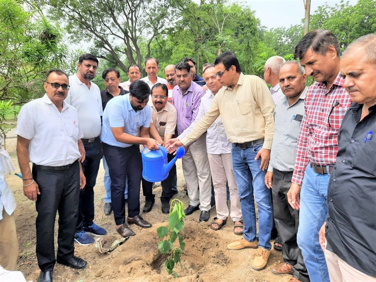 Plantation campaign launched in sugar mill