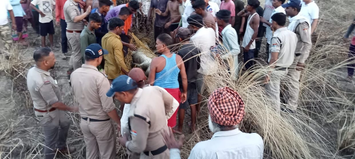 Crocodile eat a child in Khatima