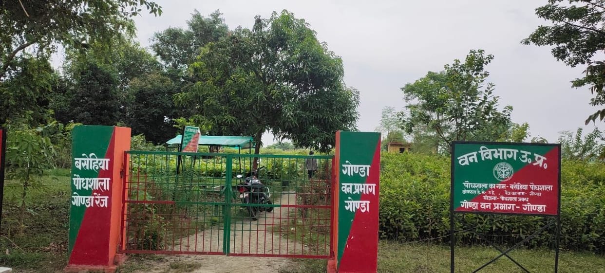 gonda,plantetion