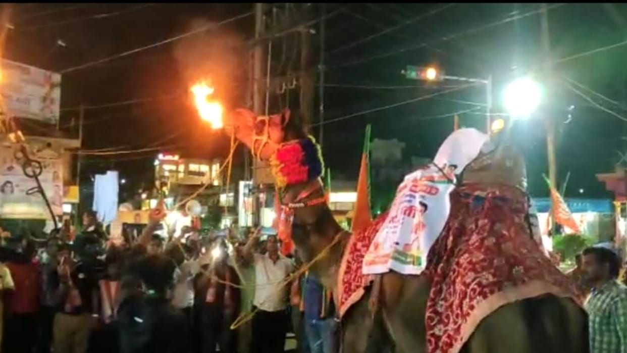 MP Local Body Election: Camel's entry in civic polls, Congress complains to Election Commission saying animal cruelty