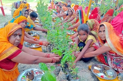 Celebrated the anniversary of Vriksha Ganga Marg by performing Taruputra Mahayagya