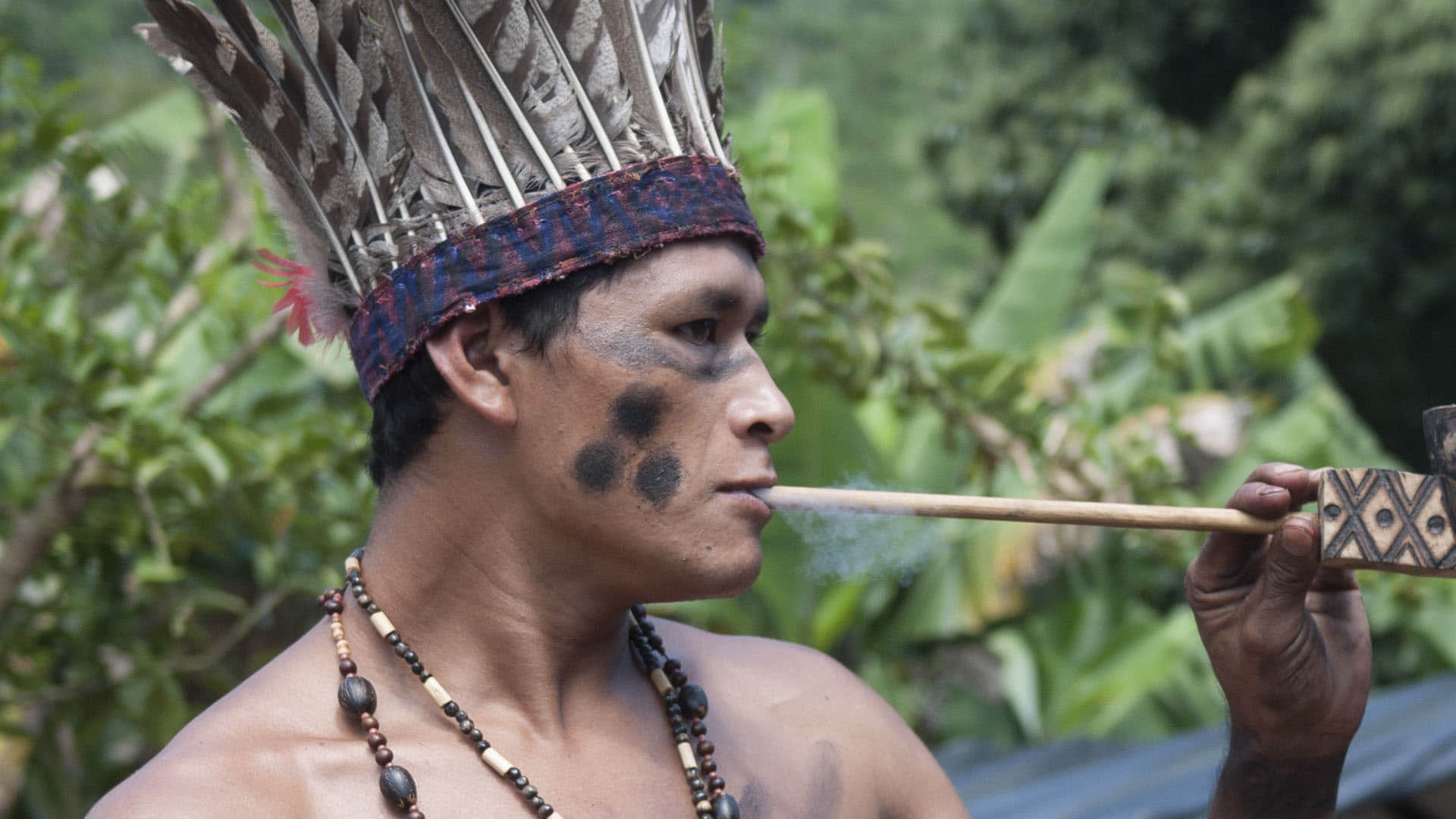 Most Shocking Male Initiation Rituals Where People bit Themselves by Ants Know All Details in Hindi