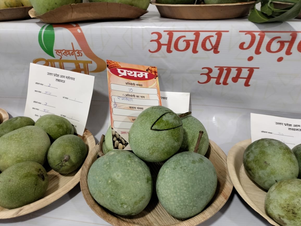 Ramkela of the district won, selected for the first place