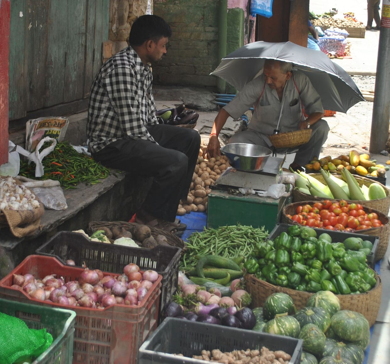 Tomato Price Hike