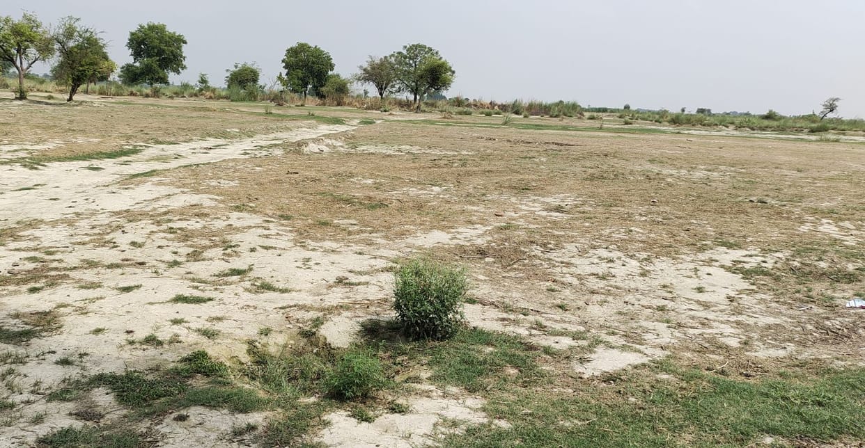 Panchavati started with dry 2.97 lakh in one year