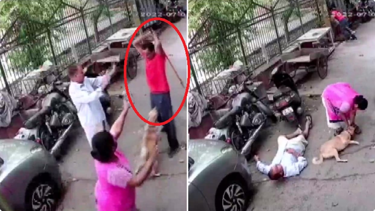 A man injured three members of a family in his neighbourhood in Paschim Vihar by hitting them with an iron rod allegedly after their pet dog barked at him