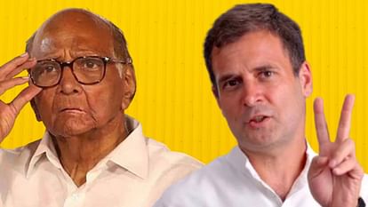 Rahul Gandhi says Sharad Pawar is not the prime minister of India, he's not protecting Adani