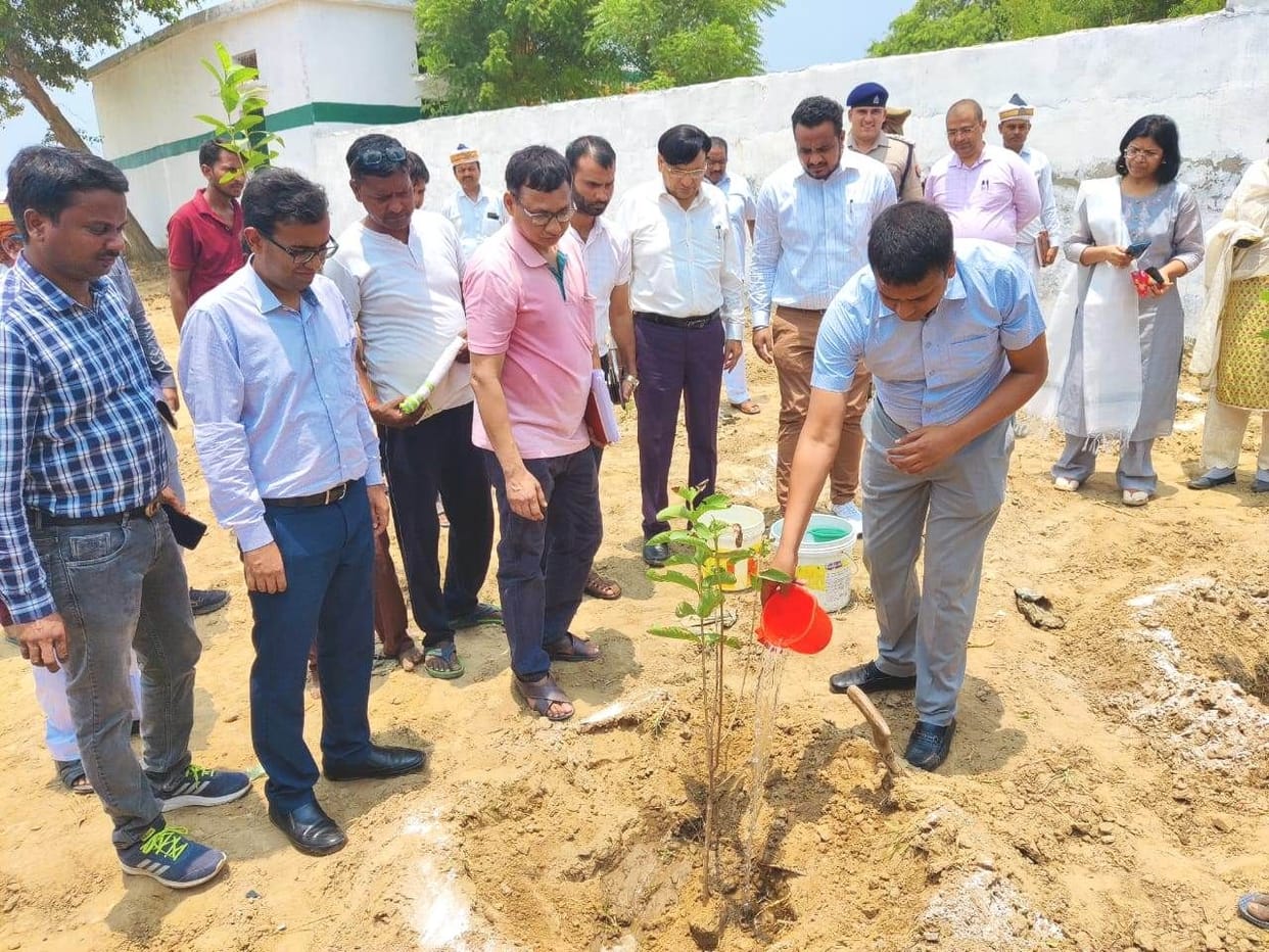 Van Mahotsav: 19 lakh saplings will be planted today