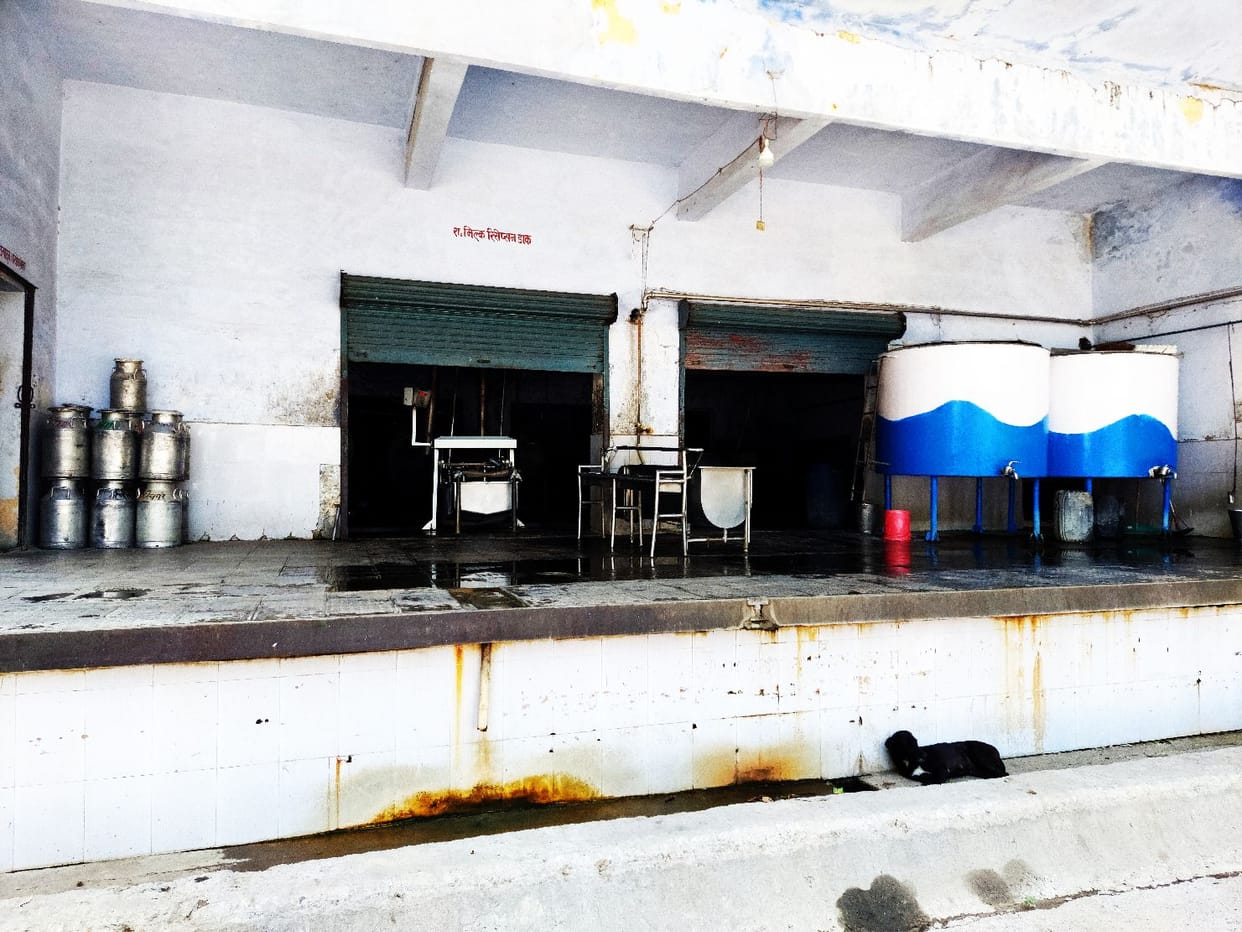 Milk societies could not become active even after spending 1.35 crore