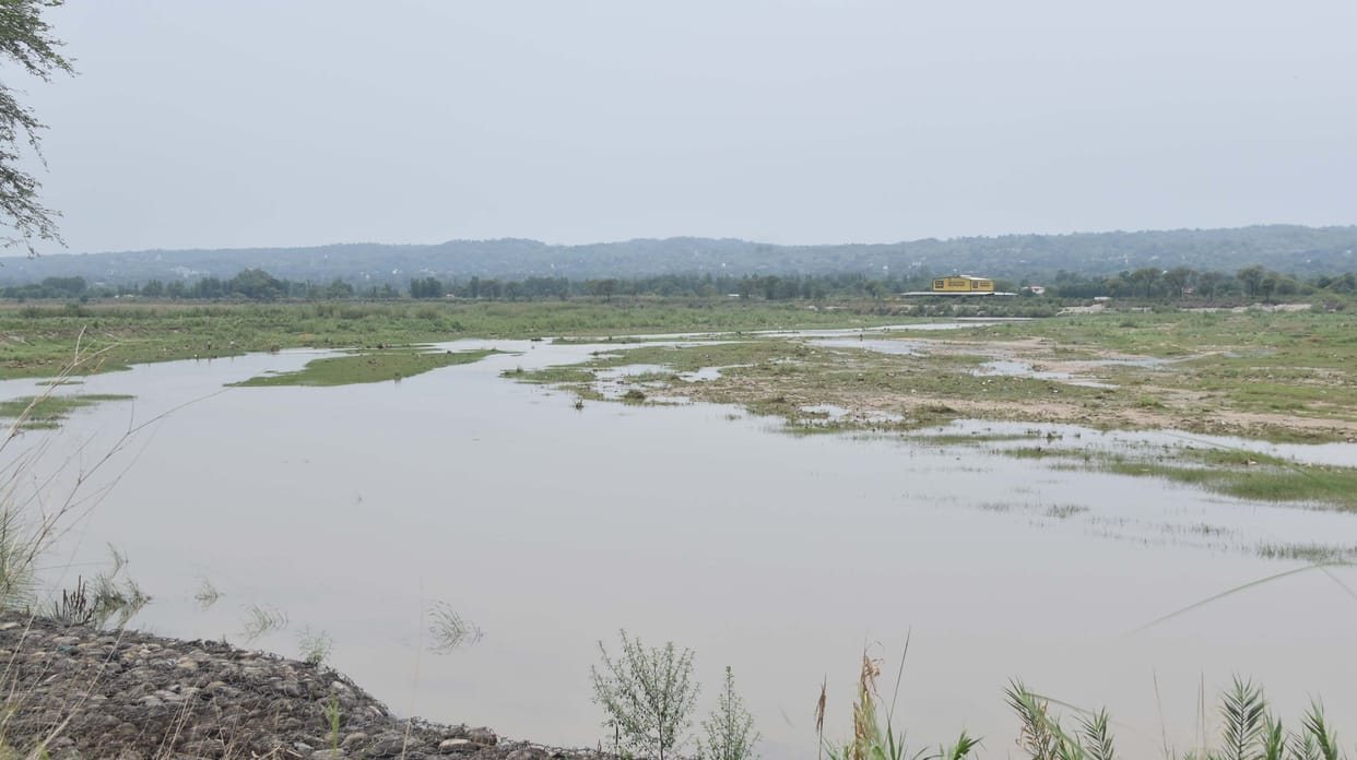 Loss to the cultivation of green vegetables due to continuous rain