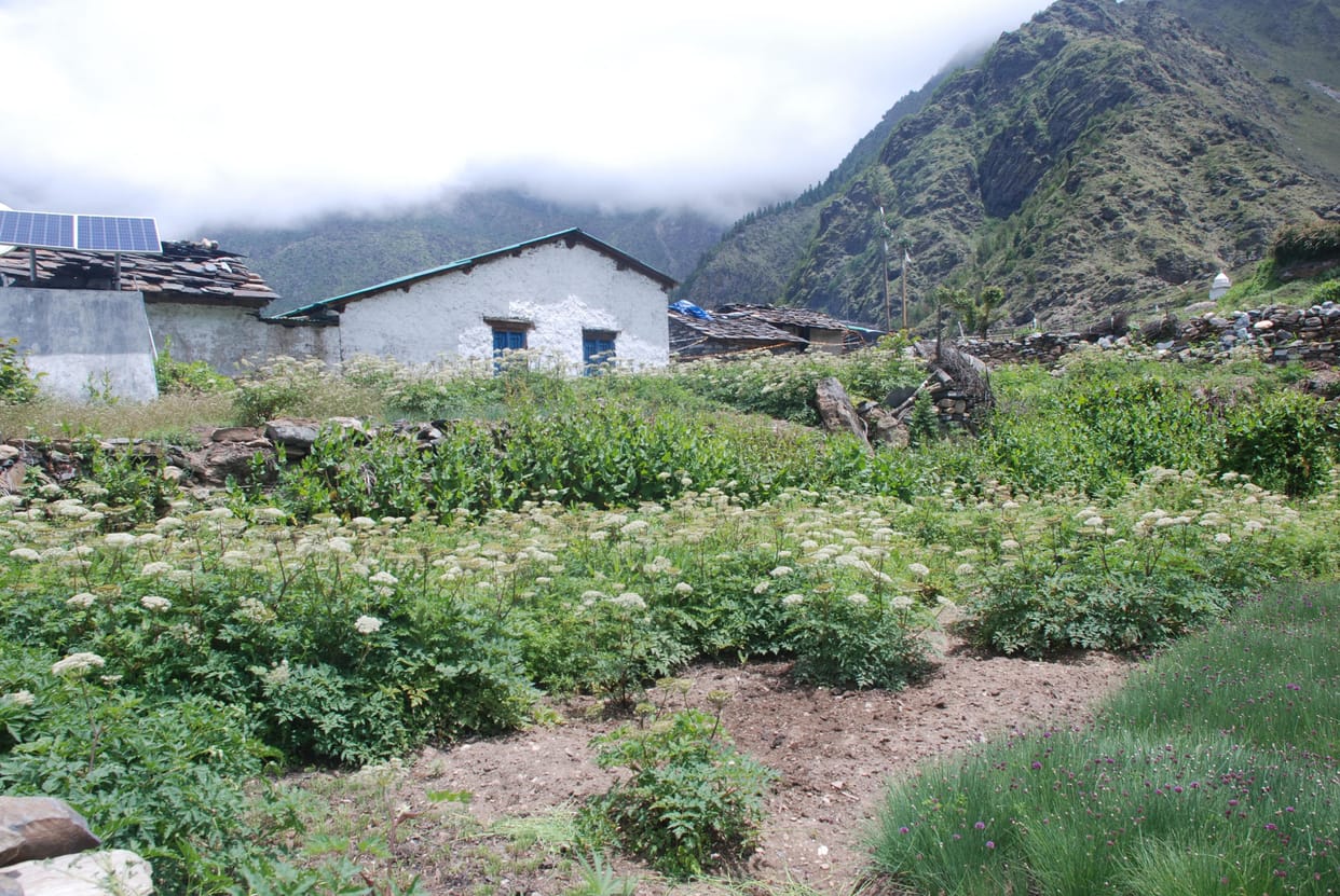 Airoma Farming in Baun Village