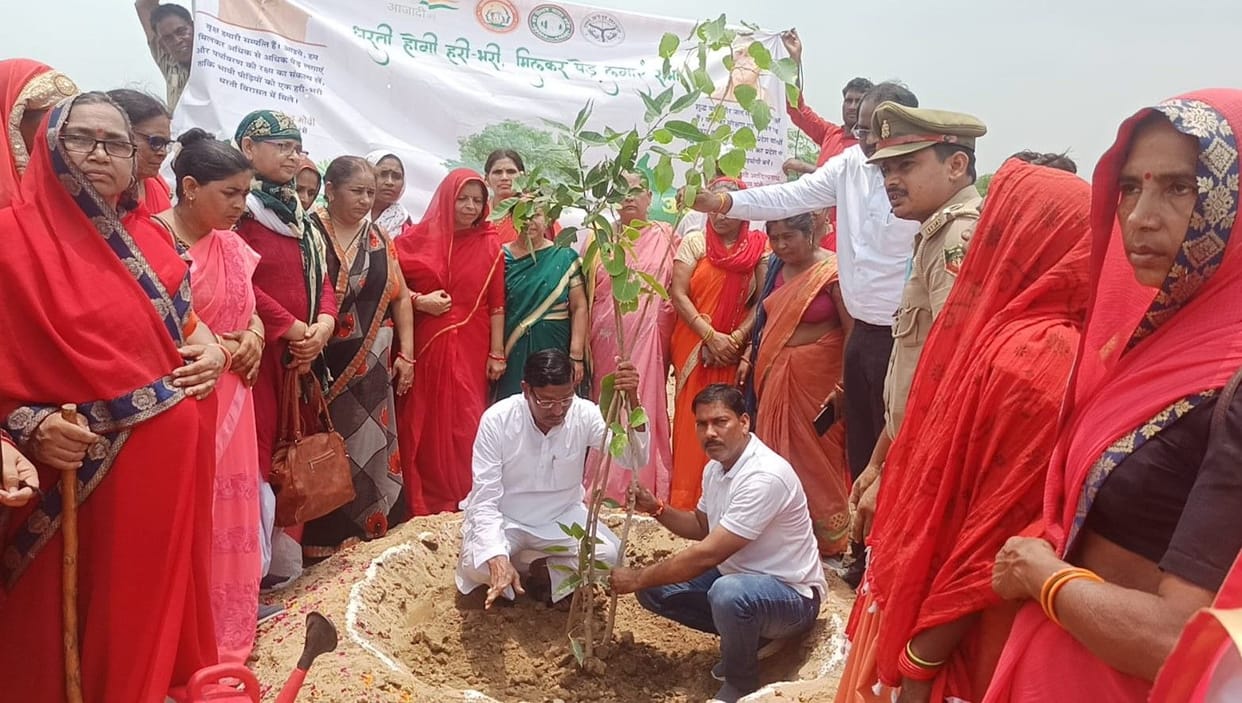 Hathras: Awakened greenery in the district, planted more than 20 lakh saplings