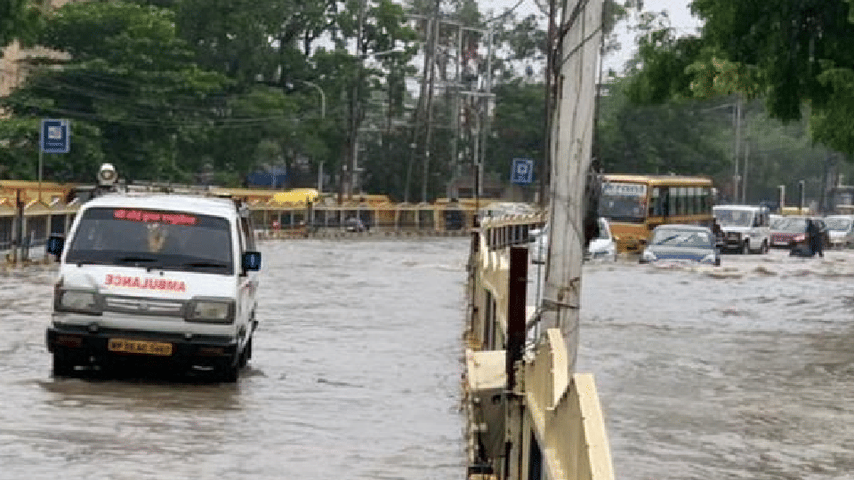 Indore Weather: Heavy rain lashes Indore, trees uprooted, roads water logged