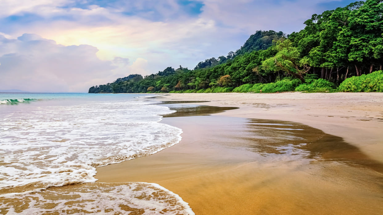 Group of former civil servants writes to NCST against infra project in Great Nicobar island