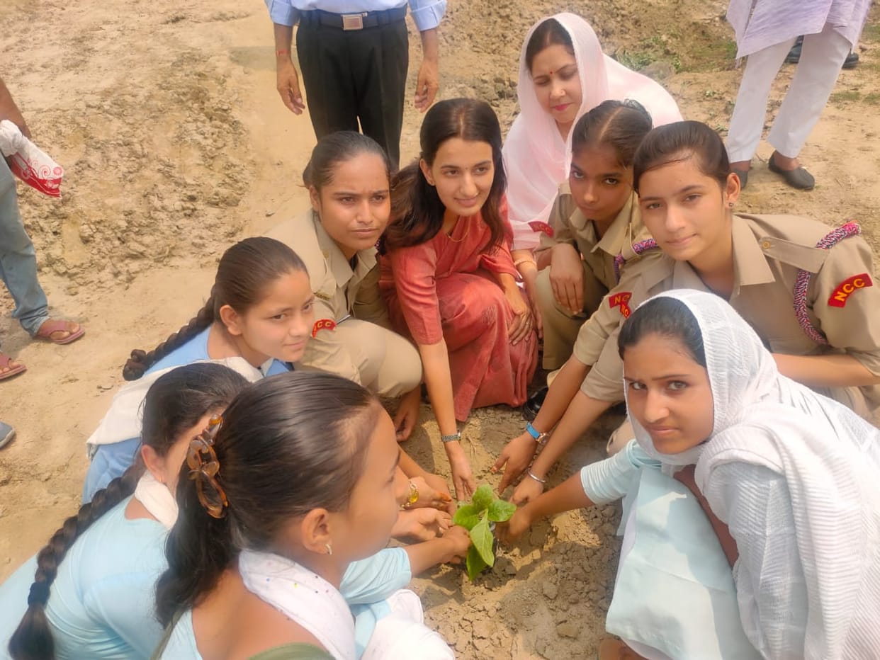 Plantation of 2150 plants on Pandav pond for oxygen bank